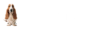 HushPuppiesBelgium
